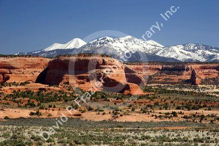 A view of snowy La Sal mountains and sandstone along US highway 191 south of Moab, Utah.