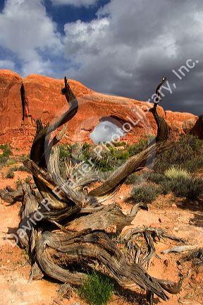 Rock formations at Arches National Park near Moab, Utah.