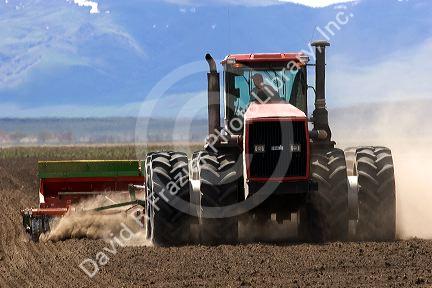 Four wheel drive tractor with dual tires planting wheat in Camas County, Idaho.