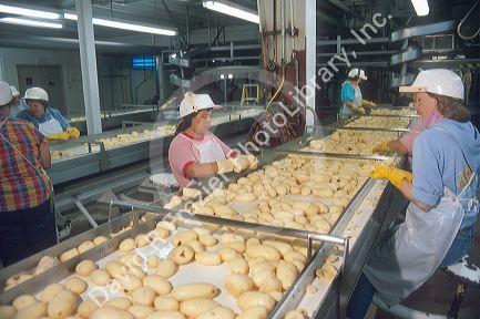 Potato processing plant at Caldwell, Idaho. Quality control workers remove blemishes.