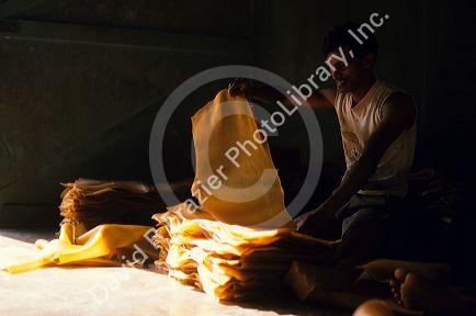 Processing raw latex in Malaysia.  Cured latex is inspected for foreign objects which are cut out.