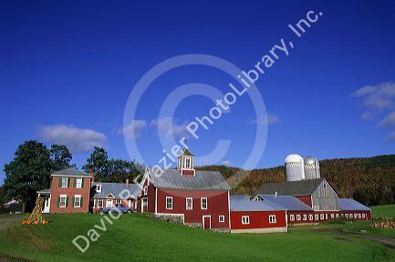 Farm scene near Jeffersonville, Vermont.