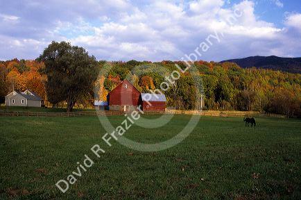 Farm scene near felchville, Vermont.
