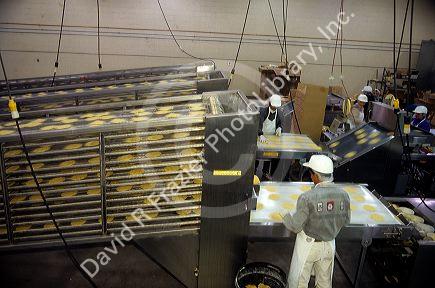 Corn tortilla factory in Caldwell, Idaho.