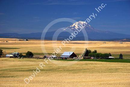 Mt. Adams with farm in the foreground near Goldendale, Washington.