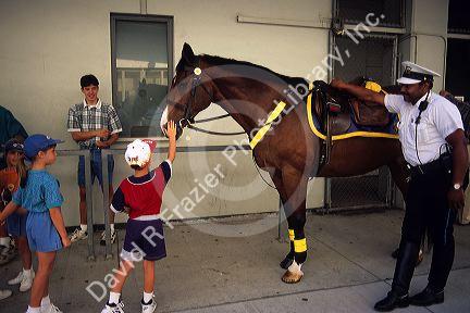 An african american police officer with horse talks to children in Cincinnati, Ohio.