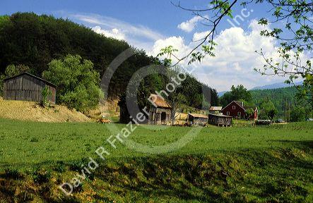 A farm outside Dollywood in Pigeon Forge, Tennessee.