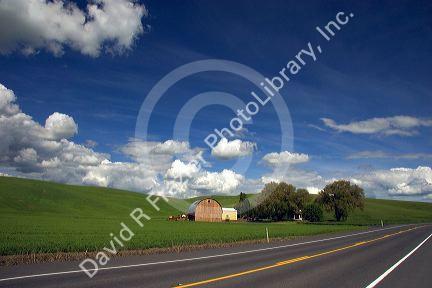 Eastern washington wheat farm with rolling hills and clouds.