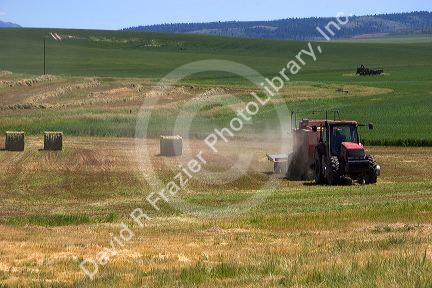 Farmer baling wheat hay near Idaho Falls, Idaho.