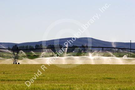 Sprinkler pivot irrigation near Bellevue, Idaho.