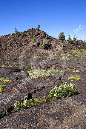 Craters of The Moon National Monument in Idaho.