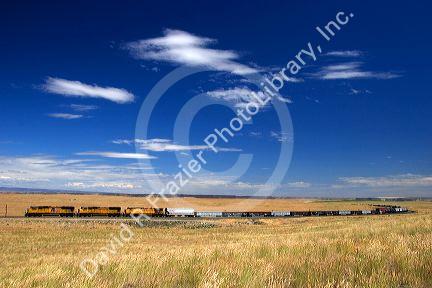 Union Pacific train in Elmore County, Idaho.
