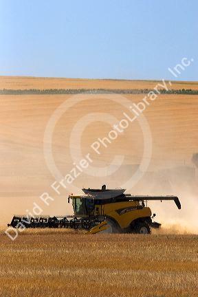 Wheat harvest near Pendleton, Oregon.