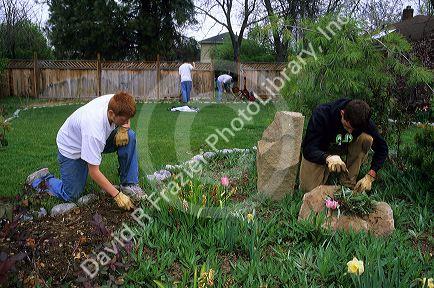 Teenage boys volunteer their time doing yard work and landscaping in Boise, Idaho.
