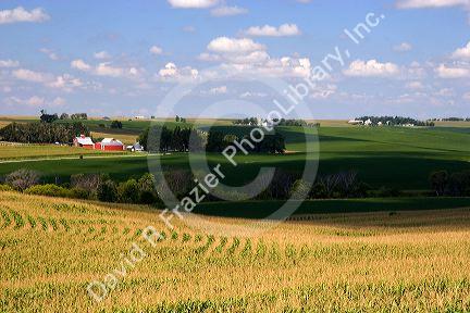 Scenic farmland along US 6 in west central Iowa.