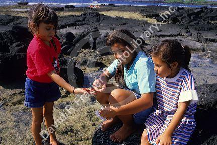 Children looking at starfish in a tide pool.