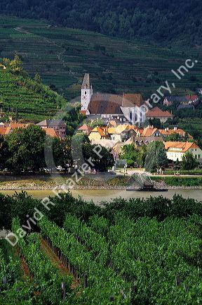 Vineyards and village along the Danube River in Austria.