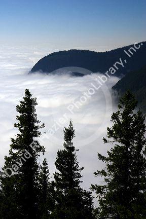 Looking down at clouds from Mt. Walker in  Olympic National Forest, Washington.