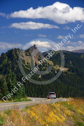 A view of Elk Mountain taken from Hurricane Ridge in Olympic National Park, Washington.