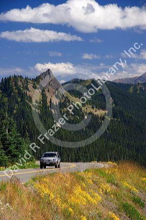 A view of Elk Mountain taken from Hurricane Ridge in Olympic National Park, Washington.