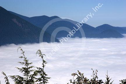 Looking down at clouds from Mt. Walker in  Olympic National Forest, Washington.