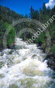 Water rushes down the Little Salmon River near Riggins Idaho.