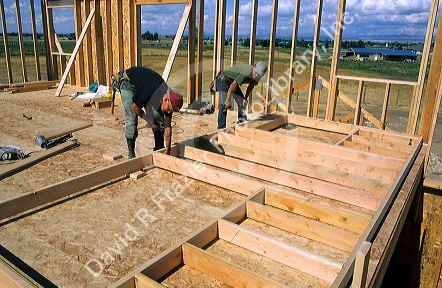 Construction workers fabricating a stud wall for the framing of a new home.