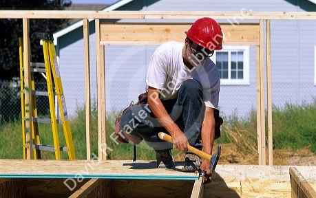 Construction worker installing the tongue and groove sub-floor for a new home.