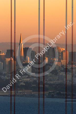 A view of San Francisco and the Transamerica pyramid tower through the cables of the Golden Gate Bridge, California.