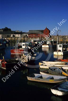 A harbor with fishing boats in the fishing village at Rockport, Massachusetts.