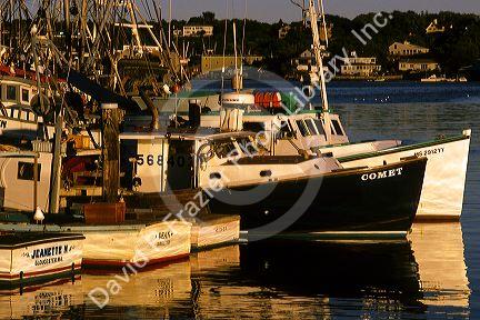 A fishing boat fleet in Glouscester, Massachusetts.