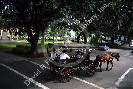 A horse drawn carriage giving a tour in Savannah, Georgia.