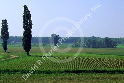 Farmland in the Po River Plains, Italy.
