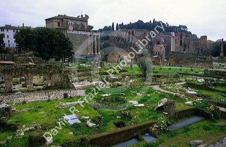 The Forum in Rome, Italy.
