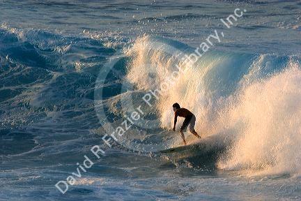 Surfing on waves in the pacific ocean off the island of Maui, Hawaii.
