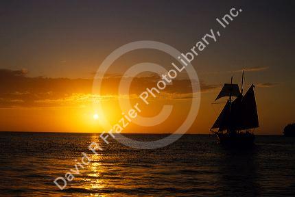 A sailboat at sunset at Key West, Florida.