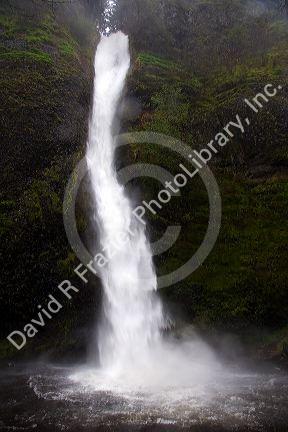 Horsetail Falls, a mountain waterfall in the Columbia Gorge, Oregon.