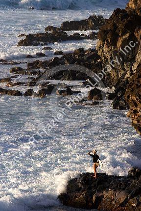 Female surfer stands on the rocky shore viewing waves in the pacific ocean from the island of Maui, Hawaii.