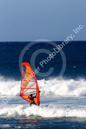 Windsurfing in the pacific ocean off the island of Maui, Hawaii.