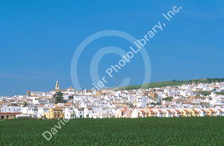White Village with green wheat in El Coronil, Spain.