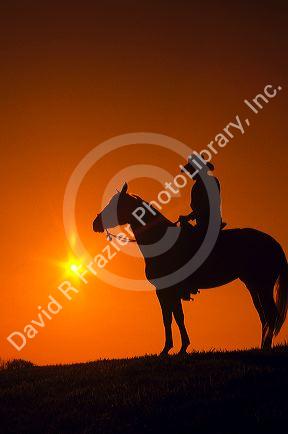 A cowboy on horseback silhouetted at sunset.