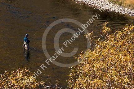Fly fisherman on the South Fork of the Boise River in Idaho.
