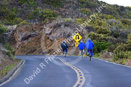Tourists ride bicycles down Mount Haleakala on the island of Maui, Hawaii.