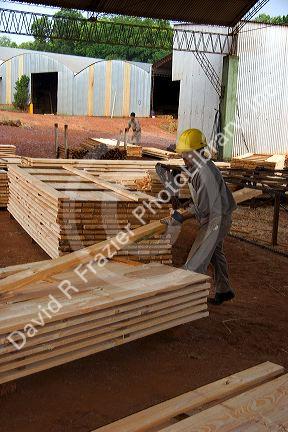 Worker sorting lumber at a lumber mill in Argentina.
