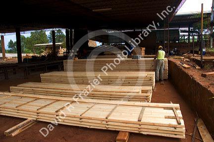 Freshly sawed lumber at a mill in Argentina.