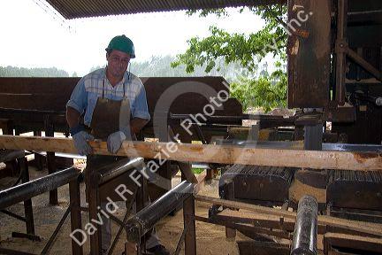 Lumber mill in Argentina.