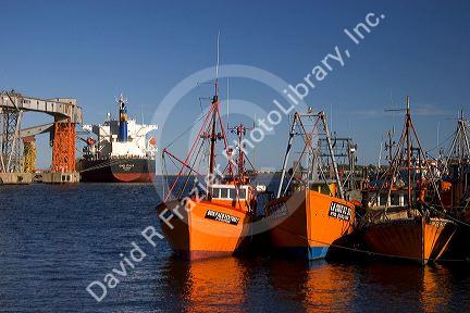 Fishing boats and grain ship at Neccochea, Argentina.