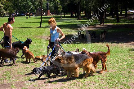 Dog walkers at the park in the Palermo area of Buenos Aires, Argentina.