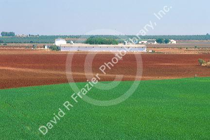 Farmland in South Central Spain. Spring grain is green with freshly tilled land awaiting planting.