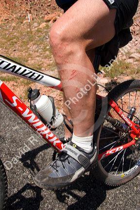 Mountain biking in the desert near Moab, Utah.  Leg scratched by cactus and rocks.  (Model released)